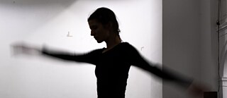 close-up of ancient forests (AT) | Freisleben