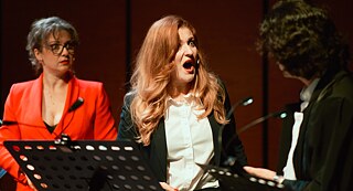 Antonela Barnat, Andreea Novac, Cătalin Petrescu, "Es ist deine Schuld!"