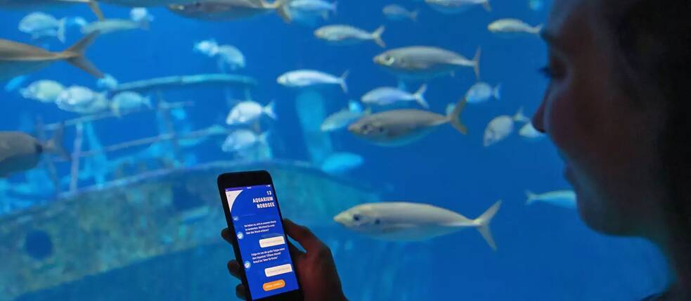 Spaziergang mit dem Schweinswal: Im Ozeaneum der Stiftung Deutsches Meeresmuseum werden App-Nutzer*innen von Avatar Walfred begleitet. Auf der Suche nach virtuellen Heringen führt Walfred sie entlang digitaler Spots durch das Museum.