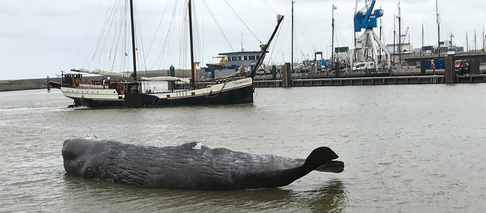 Ein gestrandeter Wal im niederländischen Harlingen, kreiert vom Künstler*innenduo Jennifer Allora und Guillermo Calzadilla: Wird er gerettet? „The Whale zeugt von dem enormen Einfluss, den der Mensch auf alles hat, was im Meer lebt“, so die Projektwebsite.
