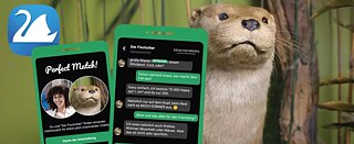Fancy shooting the breeze with a bird of prey, a carnivorous plant or an otter? On “Ping! Die Museumsapp”, visitors to several German museums can now access a whole “world of diversity” and chat with various species of flora and fauna at the Senckenberg Museum of Natural History in Görlitz or with ancient sculptures at the Badisches Landesmuseum (State Museum of Baden).