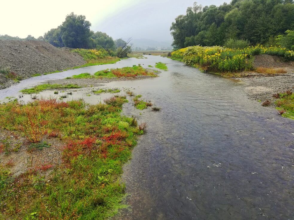 Der Fluss Topľa oberhalb der Gemeinde Kurima | September 2022