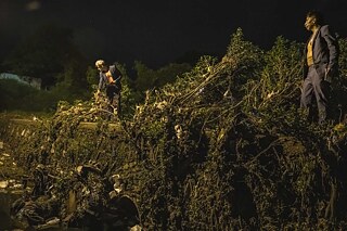 Dos Vidas: Zwei Leben, versión calle
