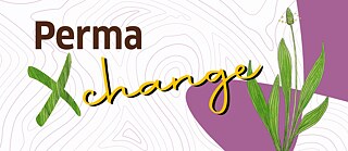 Mot PermaXchange, illustration de plantain