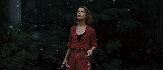 PETZOLD-AFIRE-2300x1000