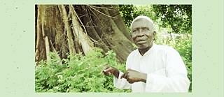 Fromager-Baum, Symbol der Mystik Filmstill aus einem Auftragsfilm des Künstlers Moustapha Mballo Dieng