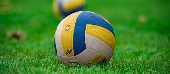 Zwei Volleybälle auf einer Wiese