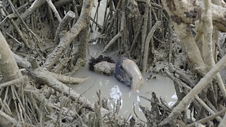 Still from “Mediateca: A Resonance Spiral”