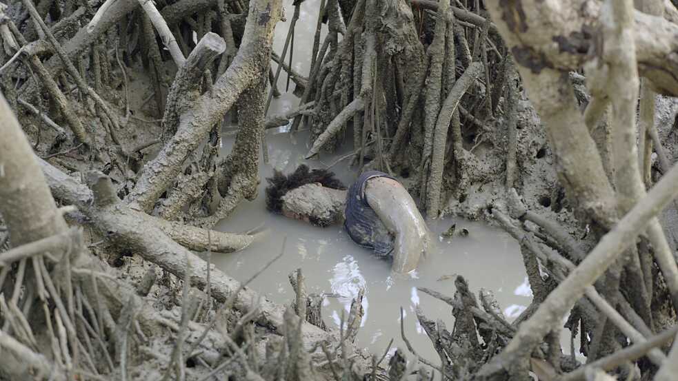 Bild aus dem Film „Mediateca: A Resonance Spiral“