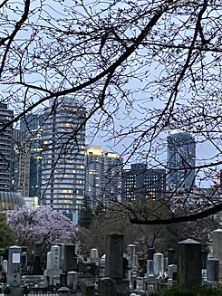 Gravestones under a bare tree, skyscrapers in the background