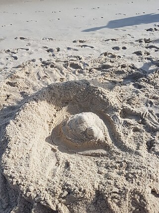 Das soll eine Sandburg sein
