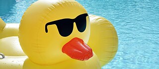 Badeente im Freibad