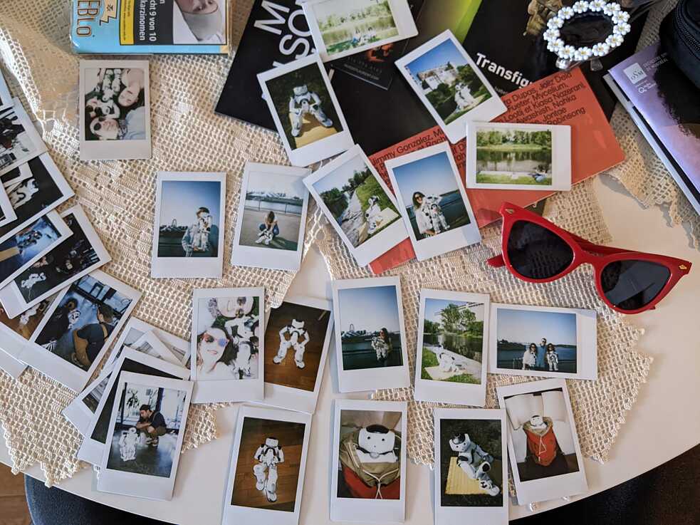 Polaroids as memory of NAO (2x1.5)