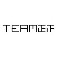 Team9 Logo