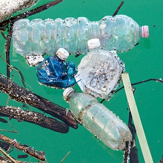 Plastikmüll im Wasser