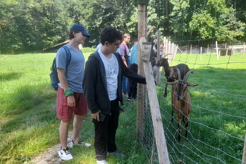 Eine Gruppe Menschen und ein paar Ziegen