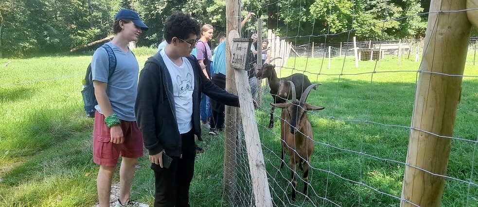 Eine Gruppe Menschen und ein paar Ziegen
