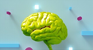 Lernen mit Köpfchen