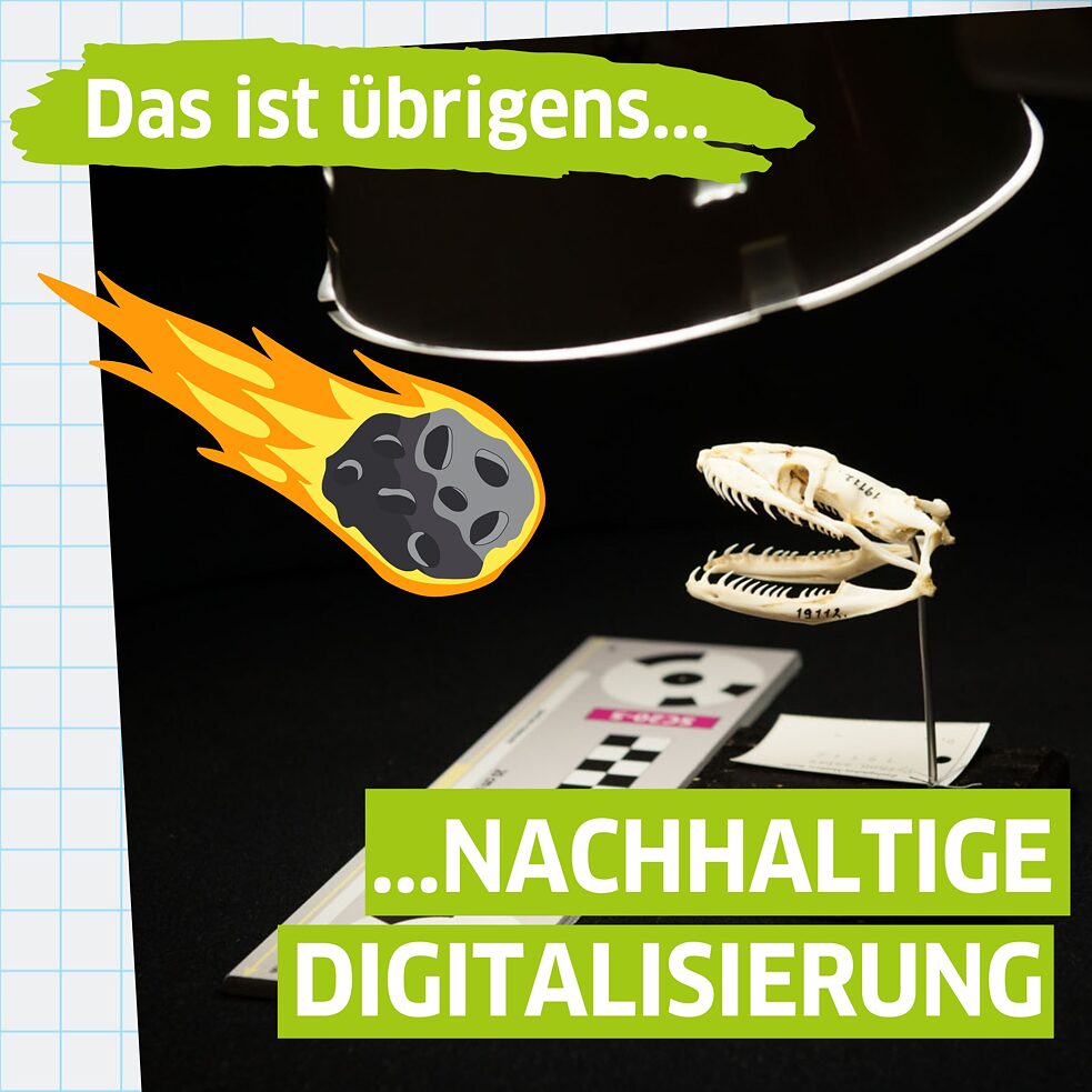 Das ist übrigens... nachhaltige Digitalisierung