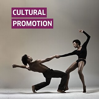 A pair of dancers performing a dance