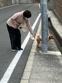 A woman holds a bottle behind her peeing dog