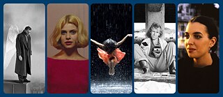 There are five film styles: Wings of Desire; Paris, Texas; Pina; Alice in the Cities; Lisbon Story
