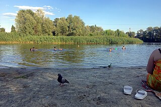 Poltava, júl 2023: kúpanie v rieke Vorskla na mestskej pláži „Zelený ostrov“