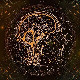 Transformation des Fremdsprachenlernens