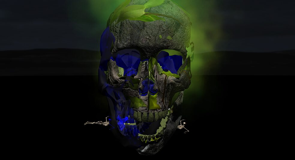 Parsifal Skull
