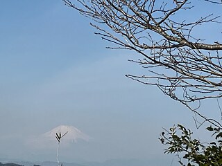 Ein Zweig balanciert den Fuji