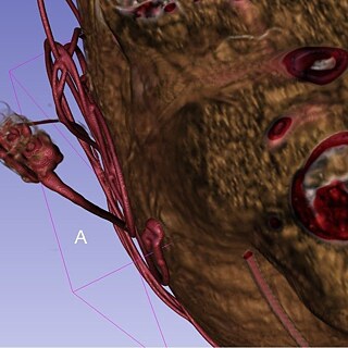 Residenzprogramm Lagos-Berlin