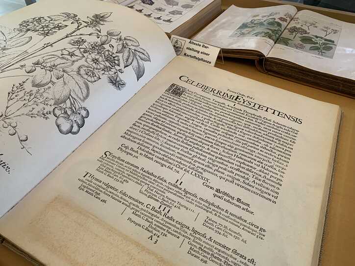 Das Deutsche Kartoffelmuseum 09