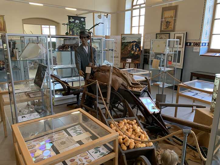 Das Deutsche Kartoffelmuseum 10