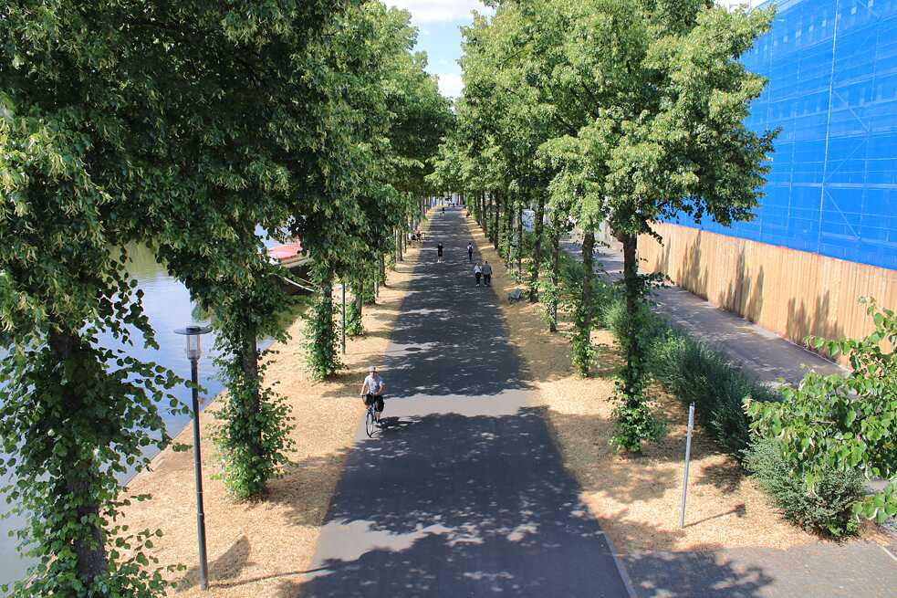 Der Weg am Flussufer in Saarbrücken