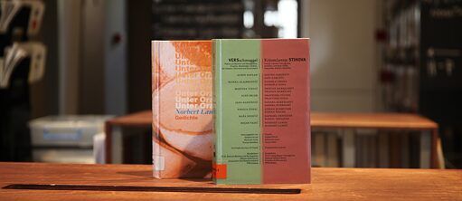 Krijumčarenje stihova u biblioteci Goethe-Instituta u Beogradu 2300x1000