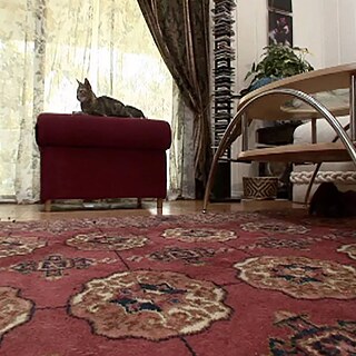 „Once upon a time“ von Corinna Schnitt