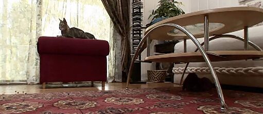 „Once upon a time“ von Corinna Schnitt