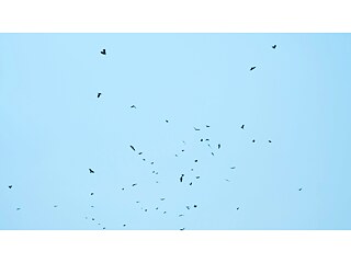 The Hidden School, documentation of first meeting, August 2023