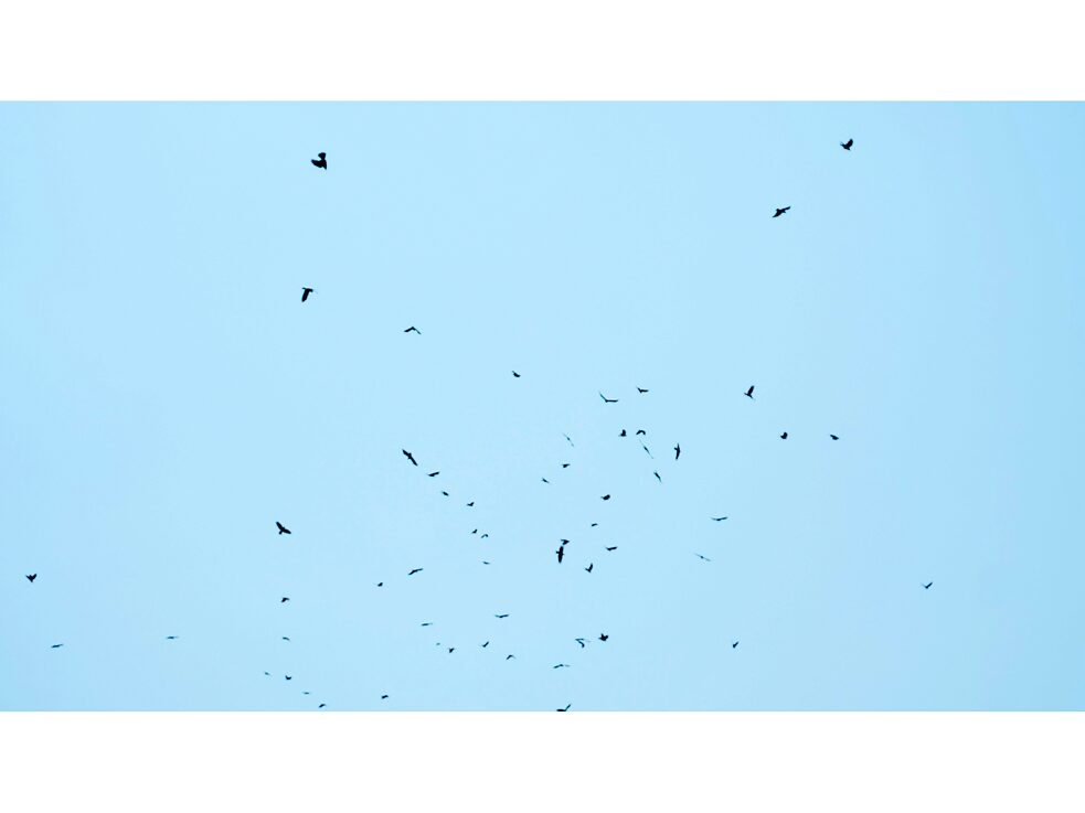 The Hidden School, documentation of first meeting, August 2023