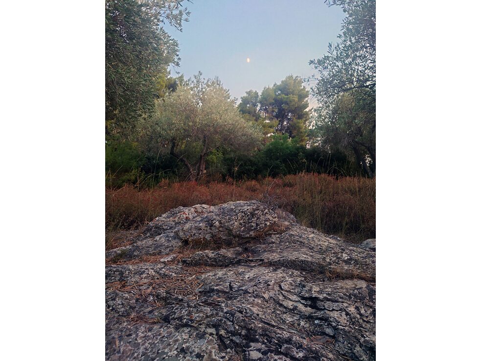 The Hidden School, documentation of first meeting, August 2023