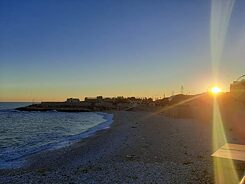 Leonardo da Vinci - Bisceglie