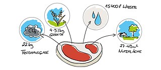 Wieviel CO2 und Ressourcen benötigt ein Steak?
