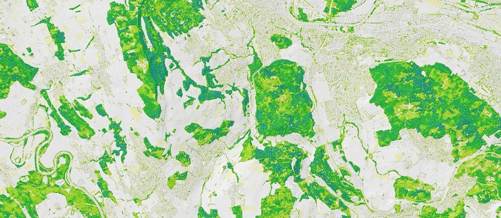 Satellitenaufnahme Regenwald