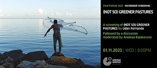 Film Forum November 2023