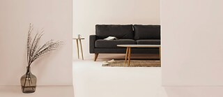 Ein Wohnzimmer mit Couch, davor eine Zimmerpflanze