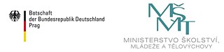 Logos AA MSMT