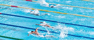 Ein Schwimmwettbewerb. Mehrere Schwimmer schwimmen um die Wette.