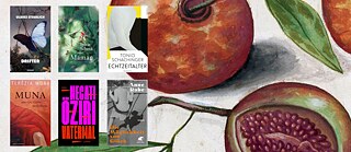 Die Germanistikstudierenden der Universität Kopenhagen übernehmen am 15. November das LiteraturHaus und präsentieren die sechs Titel, die auf der Shortlist des Deutschen Buchpreises 2023 stehen. 