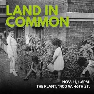 Land in Common