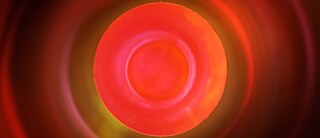  Tacita Dean, Paradise (still), 2021. 35mm colour anamorphic film, with music, Paradiso by Thomas Adès. Image courtesy the artist; Frith Street Gallery, London and Marian Goodman Gallery New York/Paris, © the artist